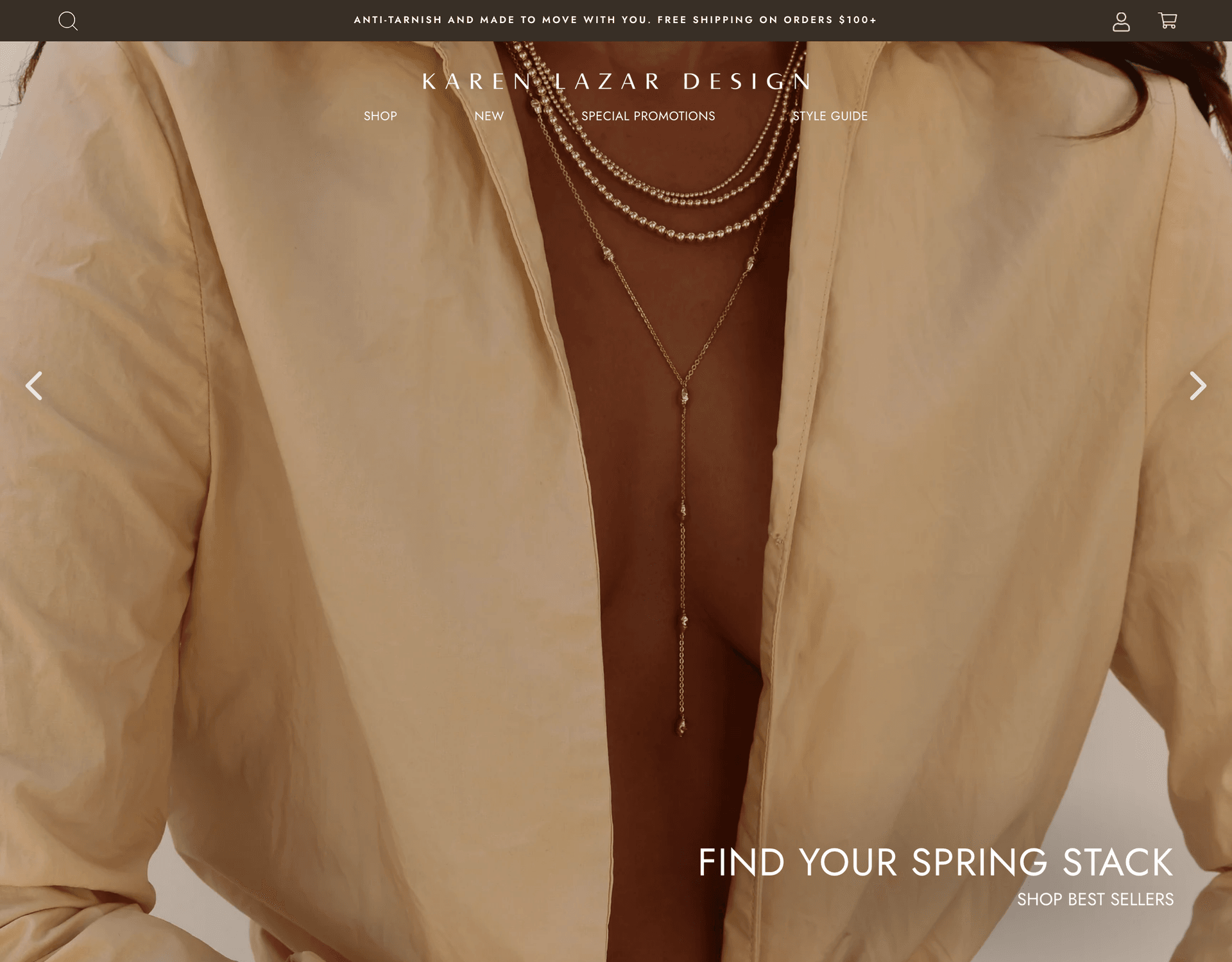 Karen Lazar Design