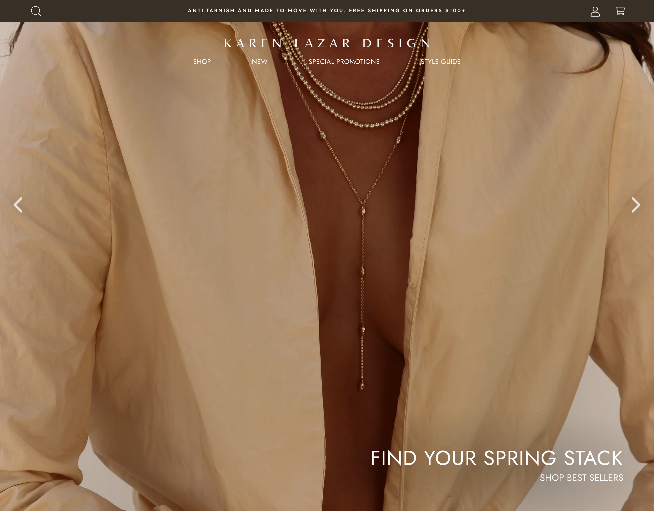 Karen Lazar Design